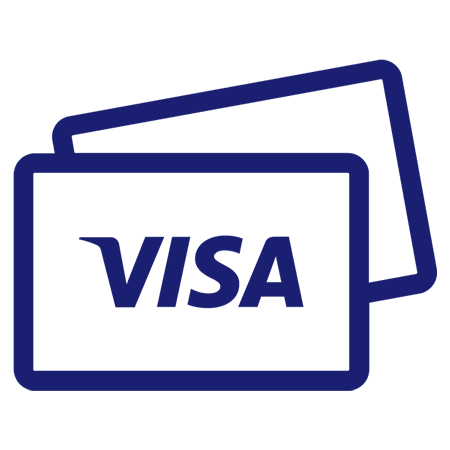 Visa card graphic